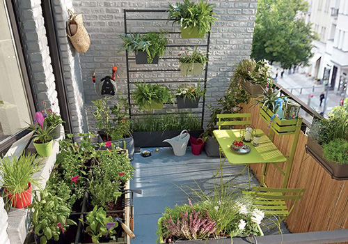 Come fare un piccolo orto sul balcone o in un cortile - Vecchia